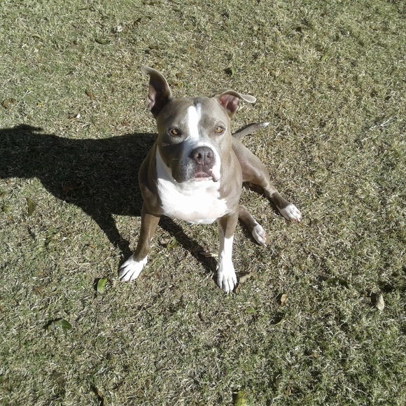 Meet your Posher, Aubrey - Picture 5 of 6